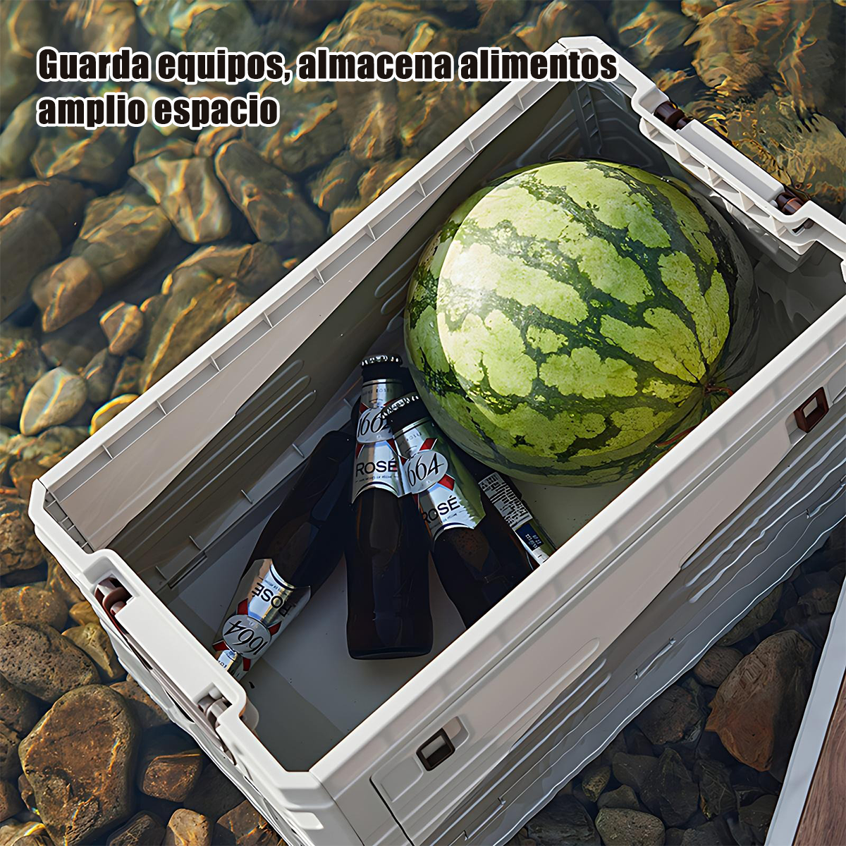 Caja cargada con alimentos y bebidas para el camping